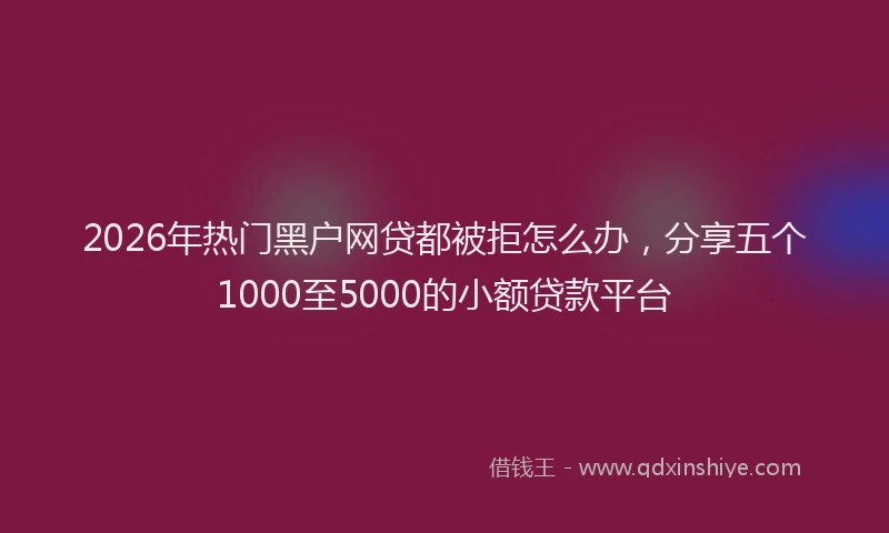 2026年热门黑户网贷都被拒怎么办，分享五个1000至5000的小额贷款平台