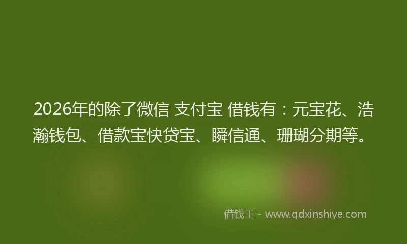 2026年的除了微信 支付宝 借钱有：元宝花、浩瀚钱包、借款宝快贷宝、瞬信通、珊瑚分期等。