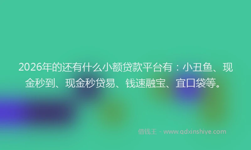 2026年的还有什么小额贷款平台有：小丑鱼、现金秒到、现金秒贷易、钱速融宝、宜口袋等。