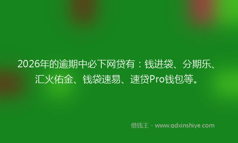 2026年的逾期中必下网贷有：钱进袋、分期乐、汇火佑金、钱袋速易、速贷Pro钱包等。