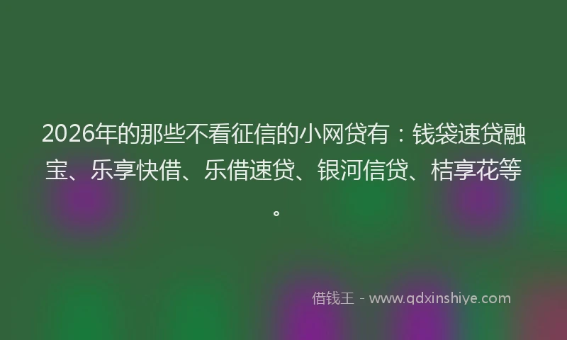 2026年的那些不看征信的小网贷有：钱袋速贷融宝、乐享快借、乐借速贷、银河信贷、桔享花等。
