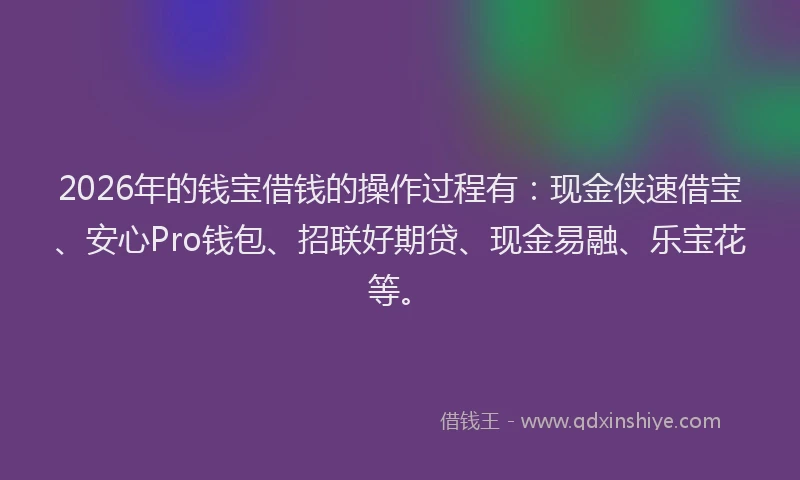 2026年的钱宝借钱的操作过程有：现金侠速借宝、安心Pro钱包、招联好期贷、现金易融、乐宝花等。