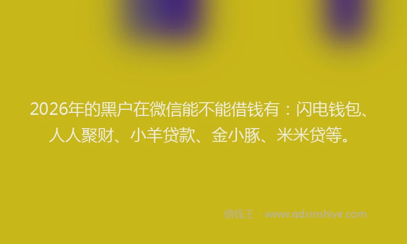 2026年的黑户在微信能不能借钱有：闪电钱包、人人聚财、小羊贷款、金小豚、米米贷等。