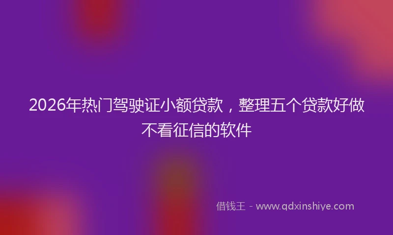 2026年热门驾驶证小额贷款，整理五个贷款好做不看征信的软件