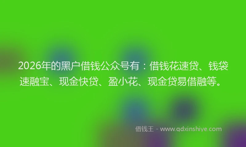 2026年的黑户借钱公众号有:借钱花速贷、钱袋速融宝、现金快贷、盈小花、现金贷易借融等。