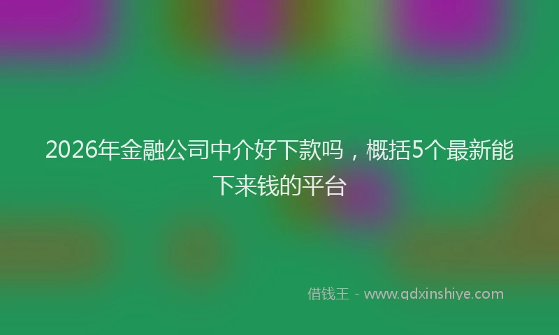 2026年金融公司中介好下款吗，概括5个最新能下来钱的平台