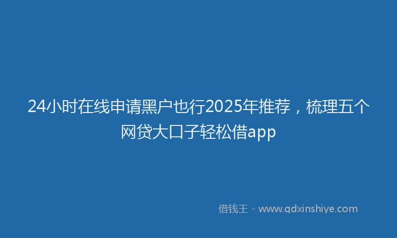 24小时在线申请黑户也行2025年推荐,梳理五个网贷大口子轻松借app