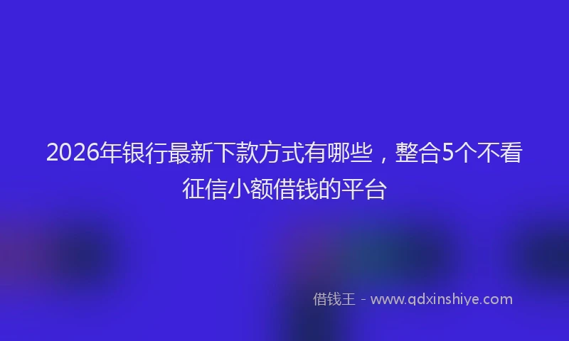 2026年银行最新下款方式有哪些，整合5个不看征信小额借钱的平台