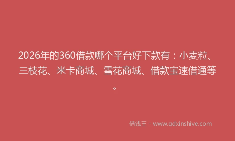 2026年的360借款哪个平台好下款有:小麦粒、三枝花、米卡商城、雪花商城、借款宝速借通等。