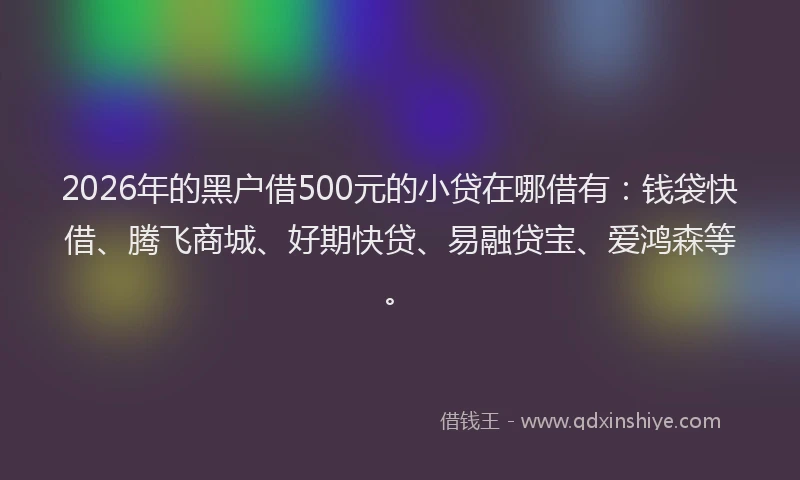 2026年的黑户借500元的小贷在哪借有:钱袋快借、腾飞商城、好期快贷、易融贷宝、爱鸿森等。