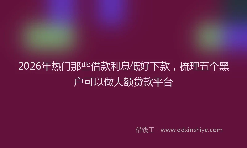 2026年热门那些借款利息低好下款,梳理五个黑户可以做大额贷款平台