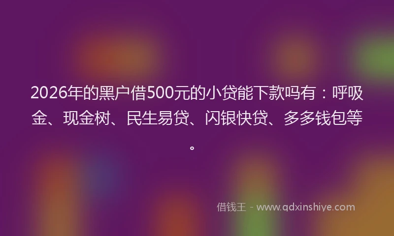 2026年的黑户借500元的小贷能下款吗有：呼吸金、现金树、民生易贷、闪银快贷、多多钱包等。