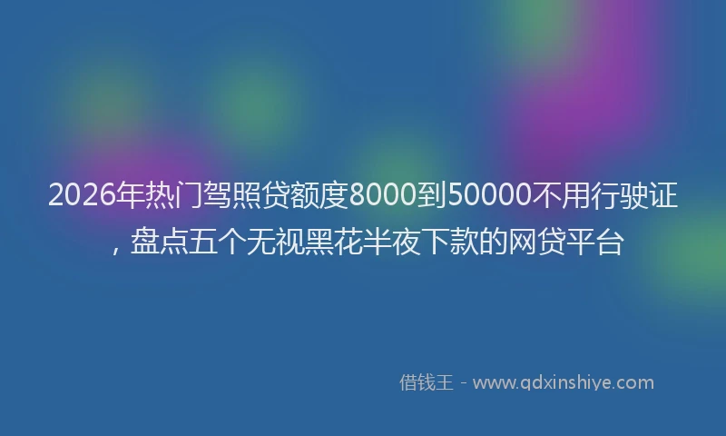 2026年热门驾照贷额度8000到50000不用行驶证，盘点五个无视黑花半夜下款的网贷平台