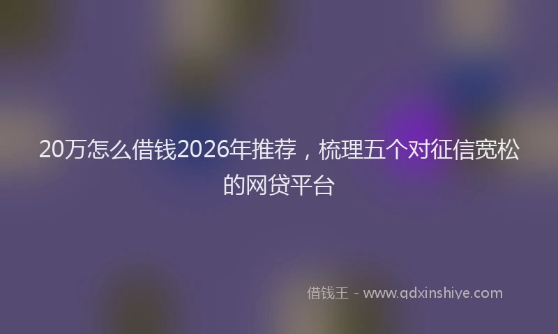 20万怎么借钱2026年推荐，梳理五个对征信宽松的网贷平台