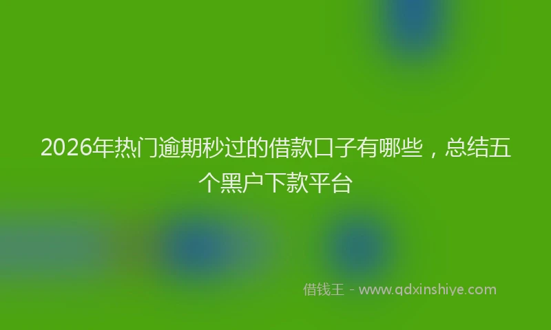 2026年热门逾期秒过的借款口子有哪些,总结五个黑户下款平台