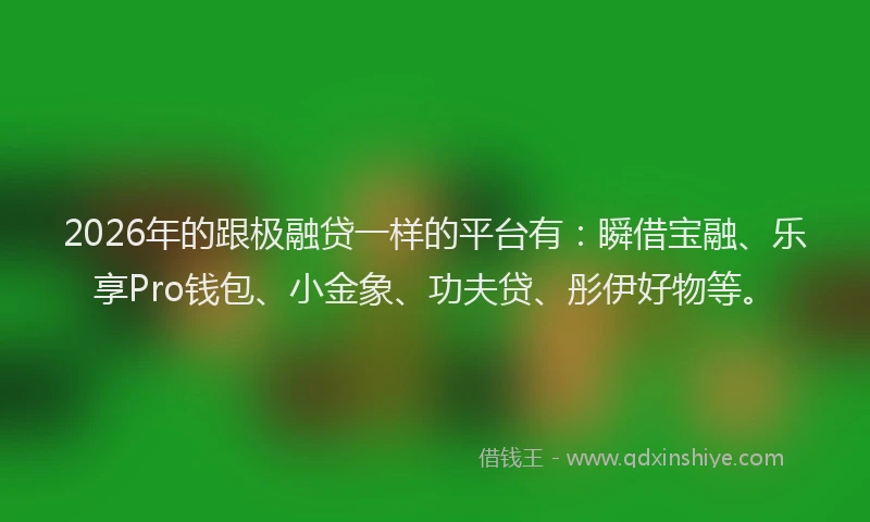 2026年的跟极融贷一样的平台有：瞬借宝融、乐享Pro钱包、小金象、功夫贷、彤伊好物等。