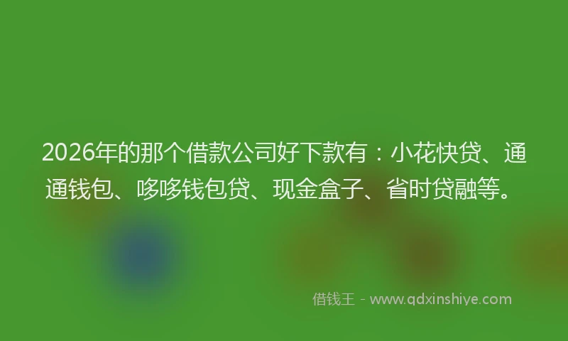 2026年的那个借款公司好下款有：小花快贷、通通钱包、哆哆钱包贷、现金盒子、省时贷融等。