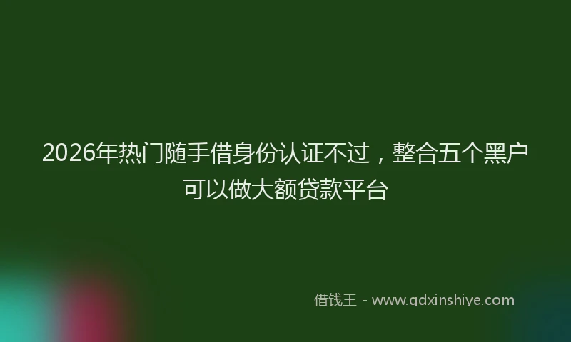2026年热门随手借身份认证不过，整合五个黑户可以做大额贷款平台