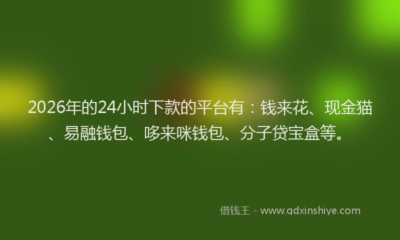 2026年的24小时下款的平台有：钱来花、现金猫、易融钱包、哆来咪钱包、分子贷宝盒等。