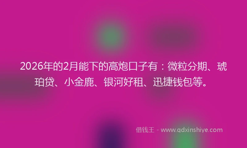 2026年的2月能下的高炮口子有：微粒分期、琥珀贷、小金鹿、银河好租、迅捷钱包等。