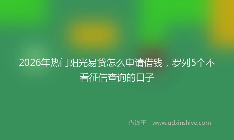 2026年热门阳光易贷怎么申请借钱，罗列5个不看征信查询的口子