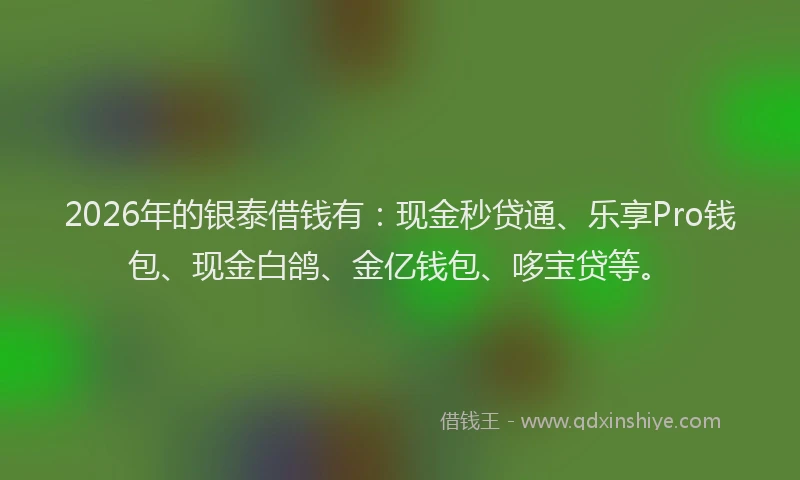 2026年的银泰借钱有:现金秒贷通、乐享Pro钱包、现金白鸽、金亿钱包、哆宝贷等。