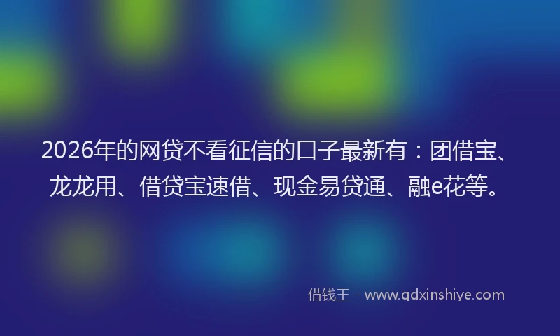 2026年的网贷不看征信的口子最新有：团借宝、龙龙用、借贷宝速借、现金易贷通、融e花等。