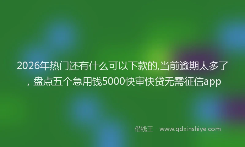 2026年热门还有什么可以下款的,当前逾期太多了，盘点五个急用钱5000快审快贷无需征信app
