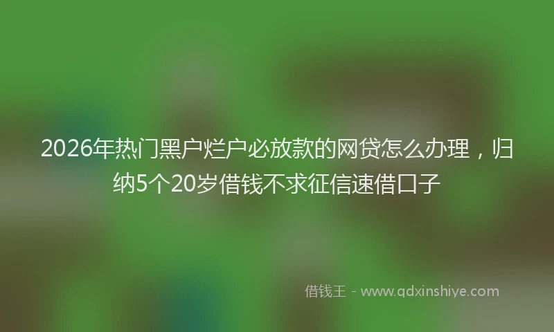 2026年热门黑户烂户必放款的网贷怎么办理，归纳5个20岁借钱不求征信速借口子