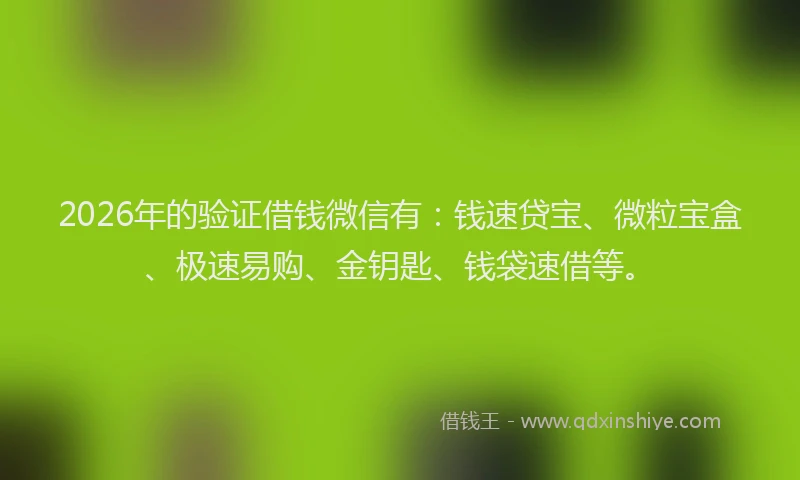 2026年的验证借钱微信有：钱速贷宝、微粒宝盒、极速易购、金钥匙、钱袋速借等。
