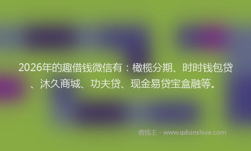 2026年的趣借钱微信有:橄榄分期、时时钱包贷、沐久商城、功夫贷、现金易贷宝盒融等。
