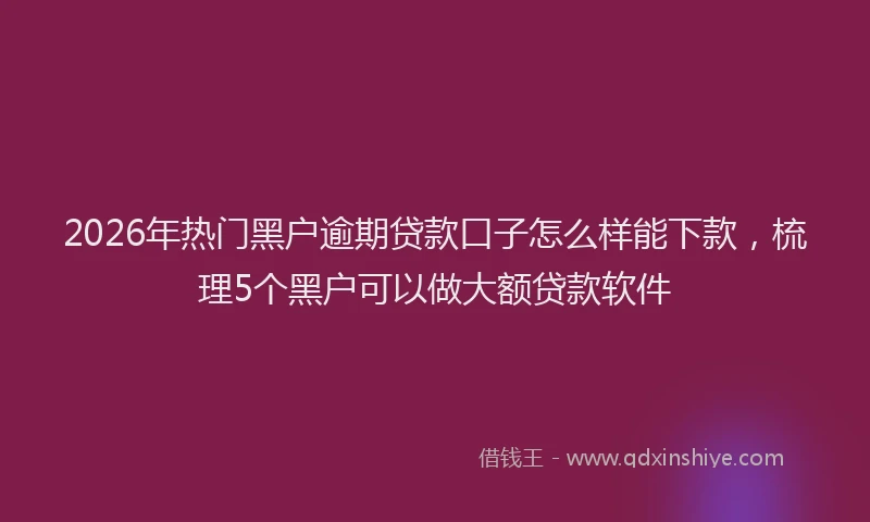2026年热门黑户逾期贷款口子怎么样能下款,梳理5个黑户可以做大额贷款软件