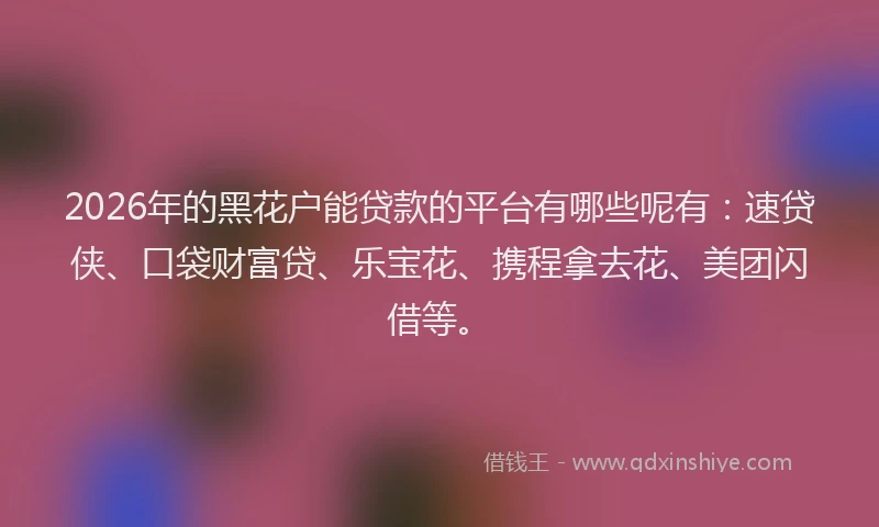 2026年的黑花户能贷款的平台有哪些呢有：速贷侠、口袋财富贷、乐宝花、携程拿去花、美团闪借等。