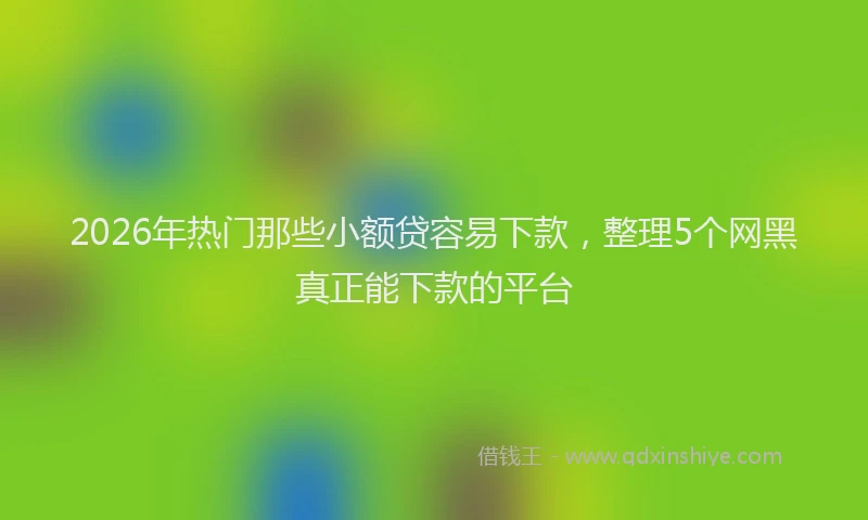 2026年热门那些小额贷容易下款，整理5个网黑真正能下款的平台