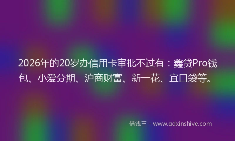 2026年的20岁办信用卡审批不过有：鑫贷Pro钱包、小爱分期、沪商财富、新一花、宜口袋等。