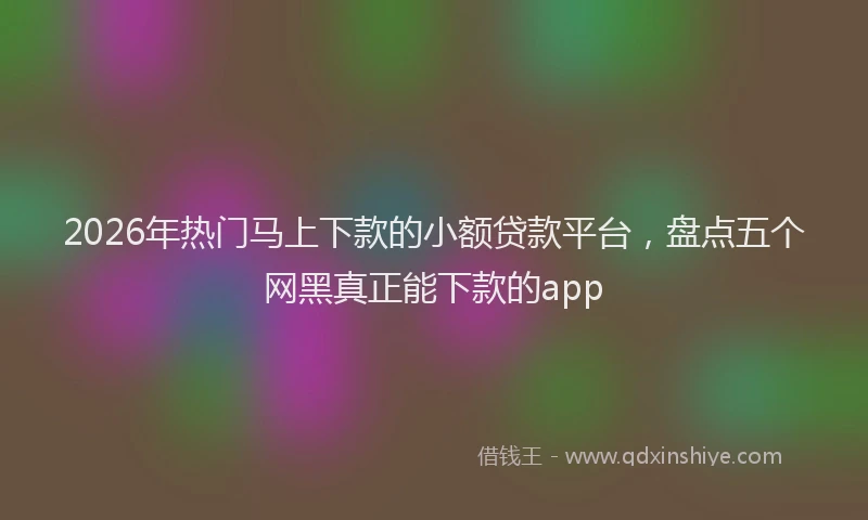 2026年热门马上下款的小额贷款平台，盘点五个网黑真正能下款的app