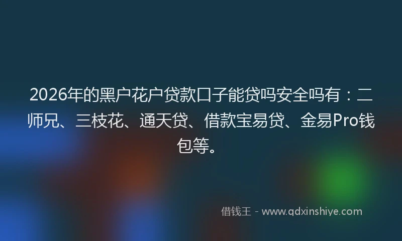 2026年的黑户花户贷款口子能贷吗安全吗有：二师兄、三枝花、通天贷、借款宝易贷、金易Pro钱包等。