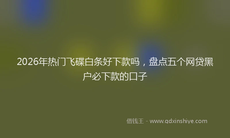 2026年热门飞碟白条好下款吗，盘点五个网贷黑户必下款的口子