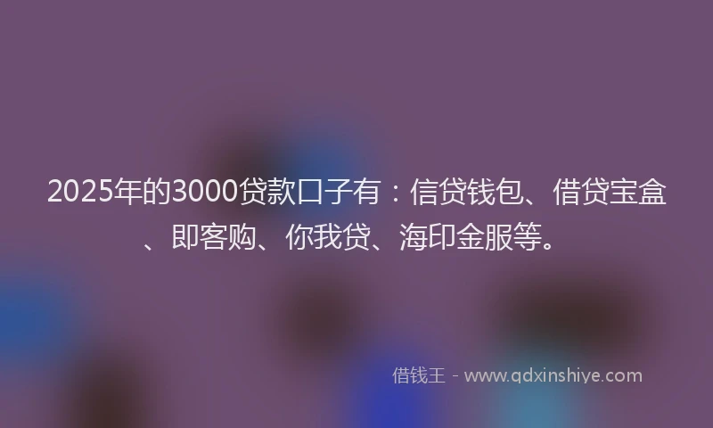 2025年的3000贷款口子有：信贷钱包、借贷宝盒、即客购、你我贷、海印金服等。