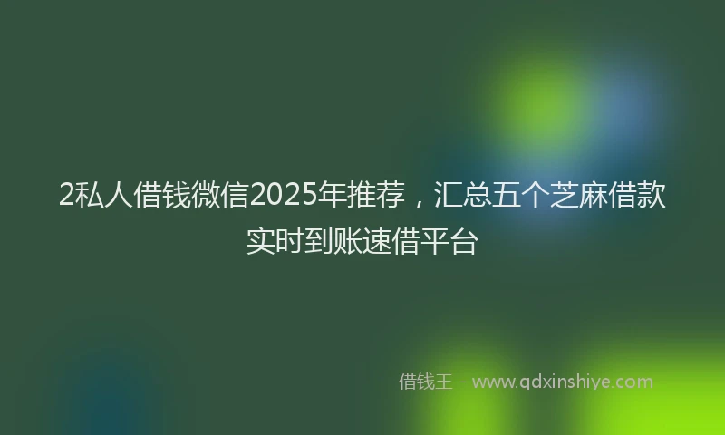 2私人借钱微信2025年推荐,汇总五个芝麻借款实时到账速借平台