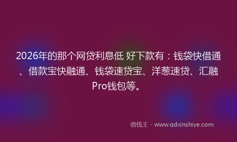2026年的那个网贷利息低 好下款有：钱袋快借通、借款宝快融通、钱袋速贷宝、洋葱速贷、汇融Pro钱包等。