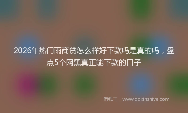 2026年热门雨商贷怎么样好下款吗是真的吗，盘点5个网黑真正能下款的口子