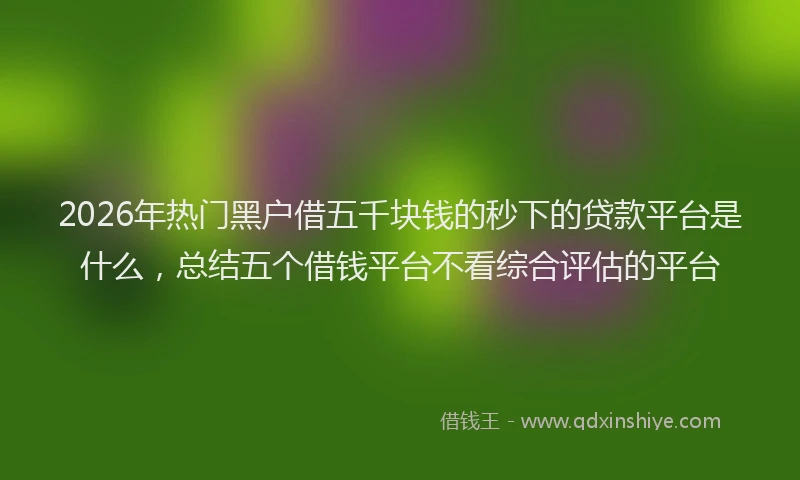 2026年热门黑户借五千块钱的秒下的贷款平台是什么，总结五个借钱平台不看综合评估的平台