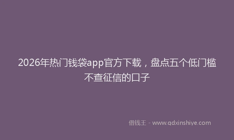 2026年热门钱袋app官方下载，盘点五个低门槛不查征信的口子