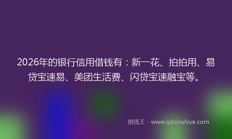 2026年的银行信用借钱有：新一花、拍拍用、易贷宝速易、美团生活费、闪贷宝速融宝等。