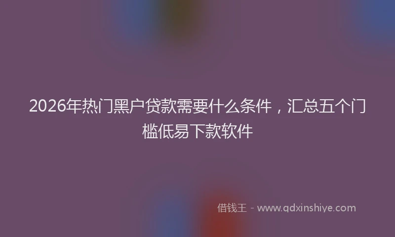 2026年热门黑户贷款需要什么条件，汇总五个门槛低易下款软件