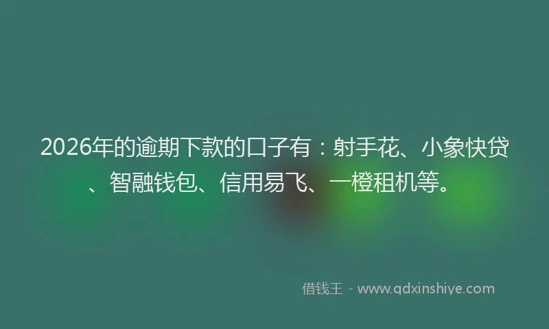 2026年的逾期下款的口子有：射手花、小象快贷、智融钱包、信用易飞、一橙租机等。