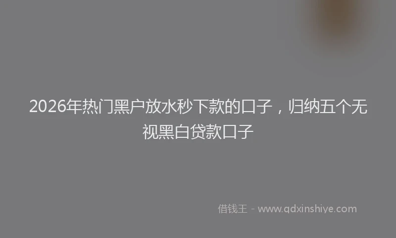 2026年热门黑户放水秒下款的口子，归纳五个无视黑白贷款口子