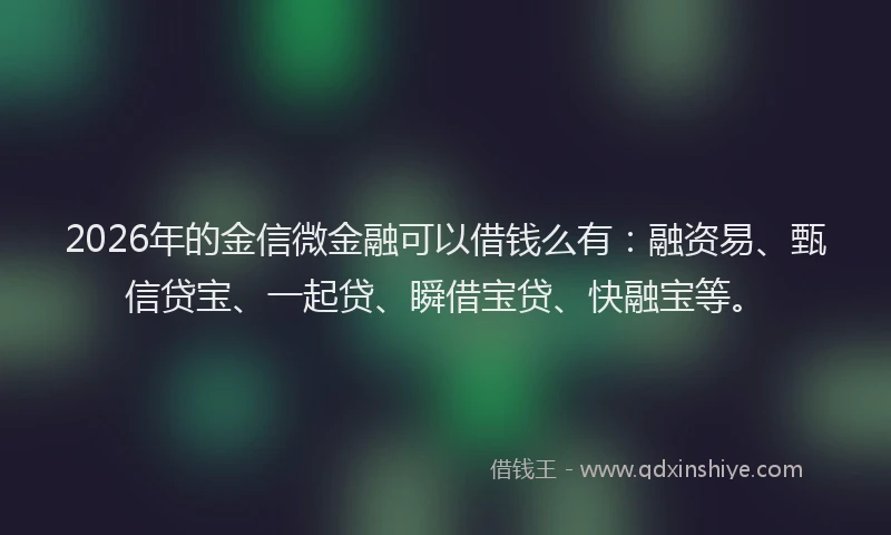 2026年的金信微金融可以借钱么有：融资易、甄信贷宝、一起贷、瞬借宝贷、快融宝等。