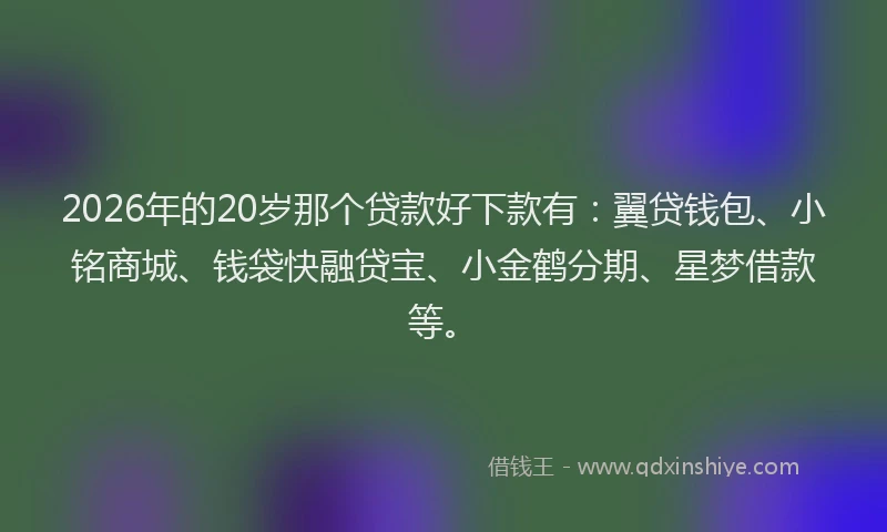 2026年的20岁那个贷款好下款有：翼贷钱包、小铭商城、钱袋快融贷宝、小金鹤分期、星梦借款等。